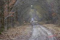 Cjp_2009_02_12_151608 (1).jpg